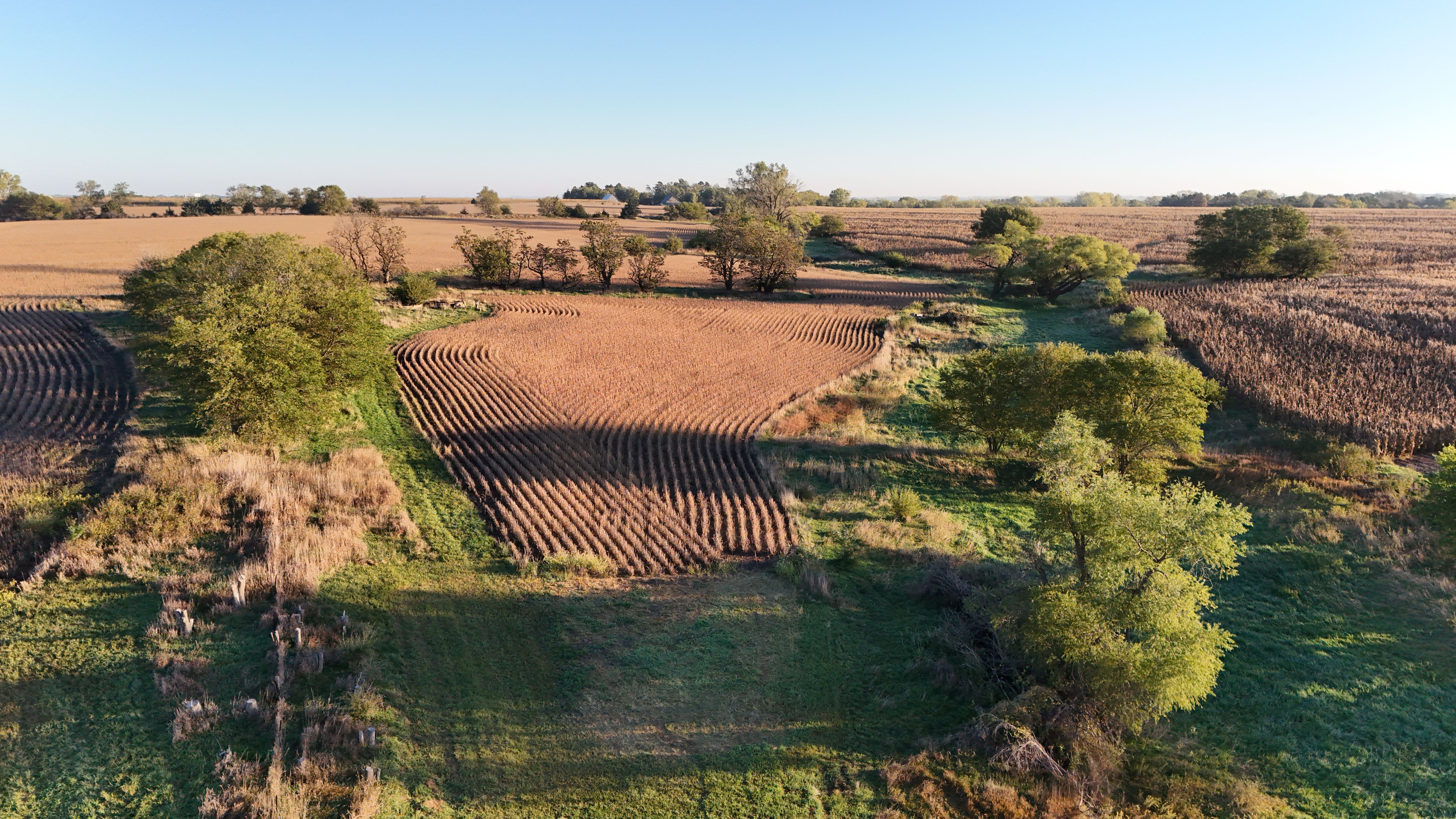 Listing Photo: lancaster-county-ne-125-acres (31)